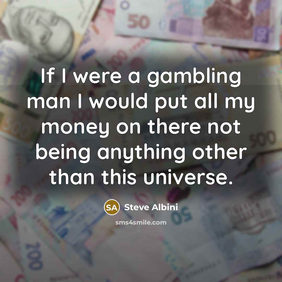 “If I were a gambling man I would put all my money on there not being anything other than this universe.” quote by Steve Albini