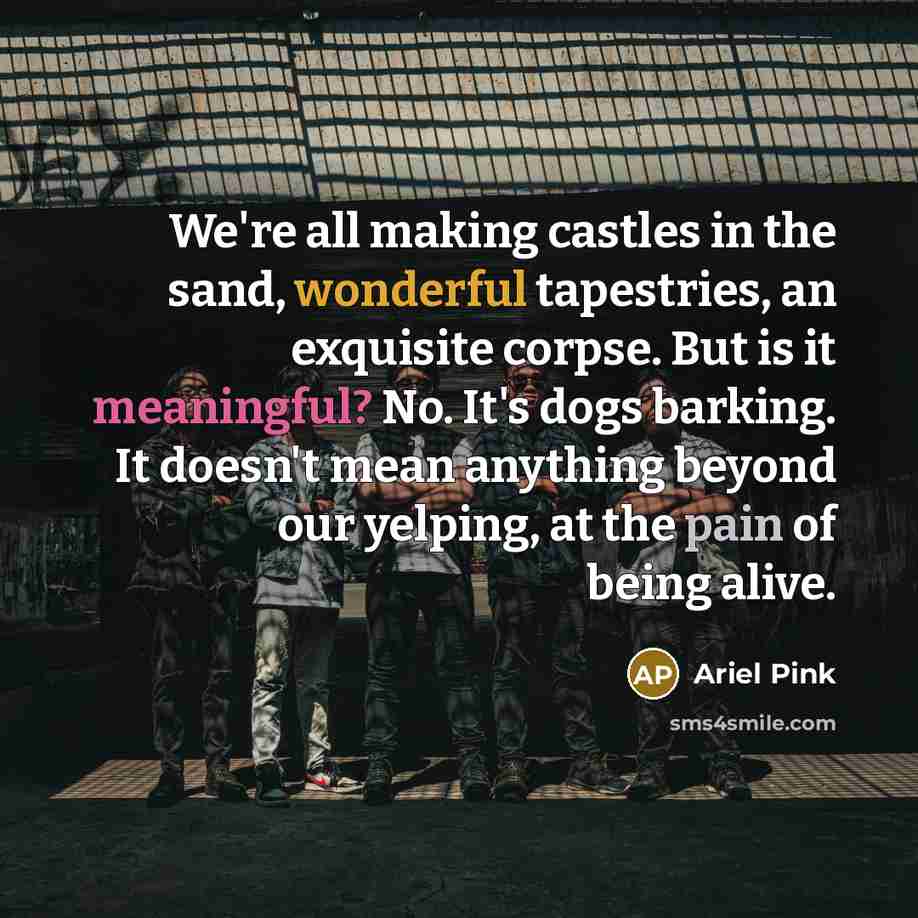 “We're all making castles in the sand, wonderful tapestries, an exquisite corpse. But is it meaningful? No. It's dogs barking. It doesn't mean anything beyond our yelping, at the pain of being alive.” quote by Ariel Pink