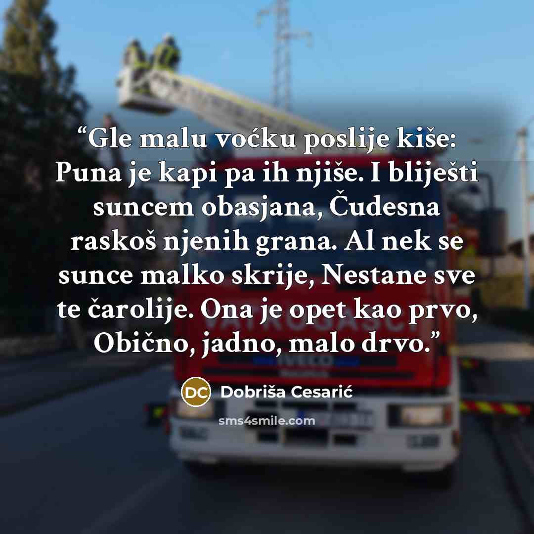 “Gle malu voćku poslije kiše: Puna je kapi pa ih njiše. I bliješti suncem obasjana, Čudesna raskoš njenih grana. Al nek se sunce malko skrije, Nestane sve te čarolije. Ona je opet kao prvo, Obično, jadno, malo drvo.” quote by Dobriša Cesarić