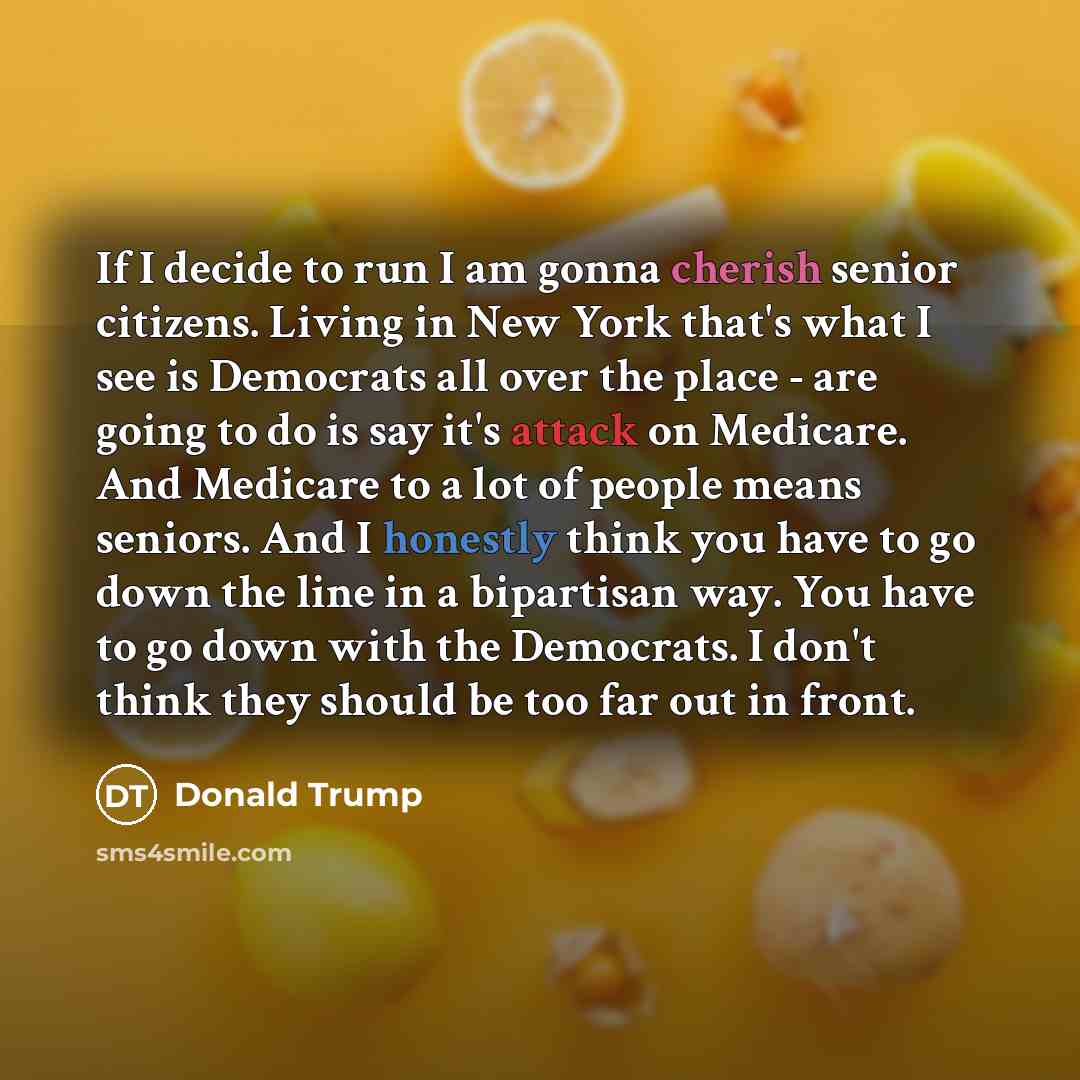 “If I decide to run I am gonna cherish senior citizens. Living in New York that's what I see is Democrats all over the place - are going to do is say it's attack on Medicare. And Medicare to a lot of people means seniors. And I honestly think you have to go down the line in a bipartisan way. You…” quote by Donald Trump