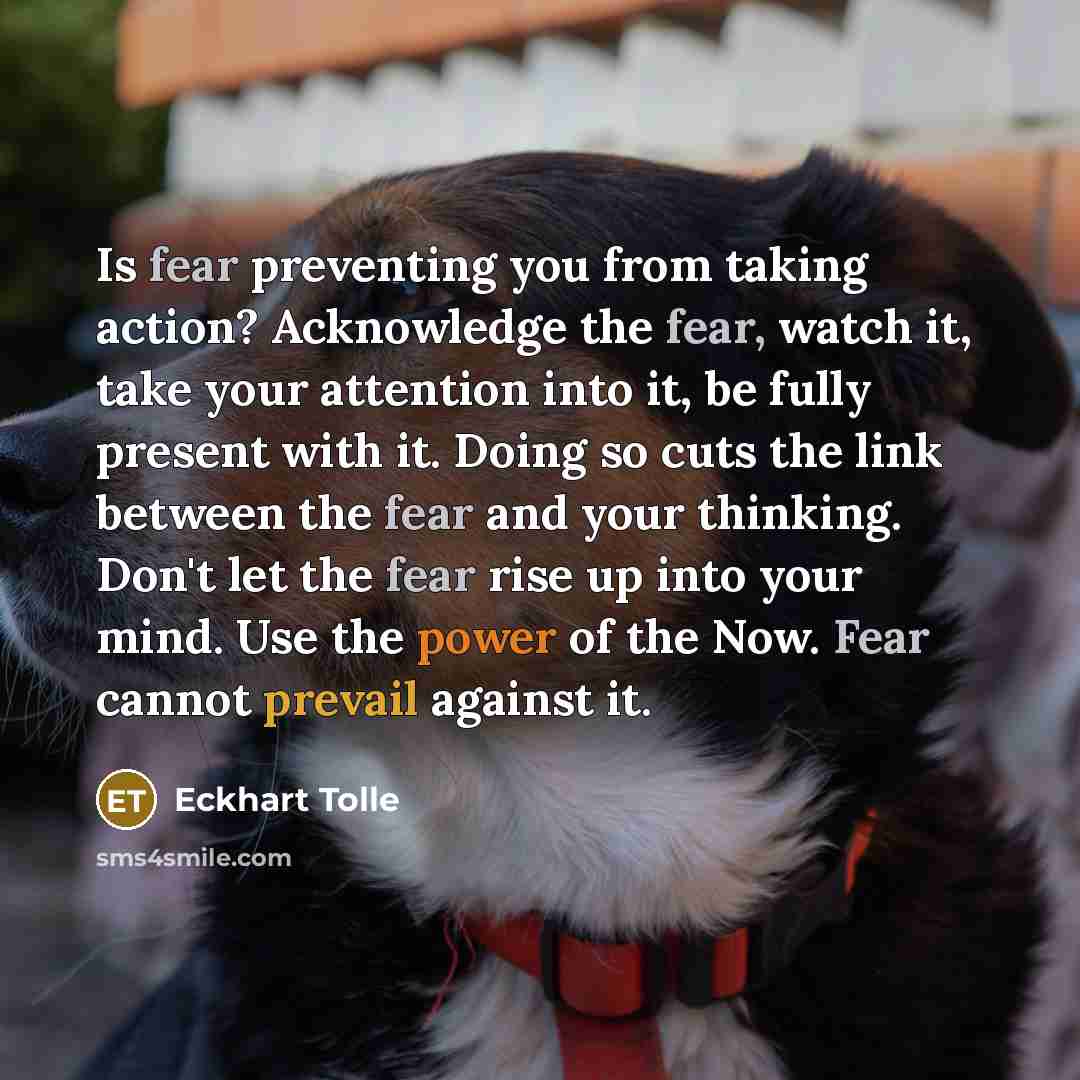 “Is fear preventing you from taking action? Acknowledge the fear, watch it, take your attention into it, be fully present with it. Doing so cuts the link between the fear and your thinking. Don't let the fear rise up into your mind. Use the power of the Now. Fear cannot prevail against it.” quote by Eckhart Tolle