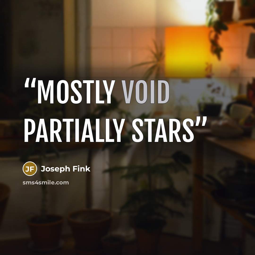 “Mostly void partially stars” quote by Joseph Fink