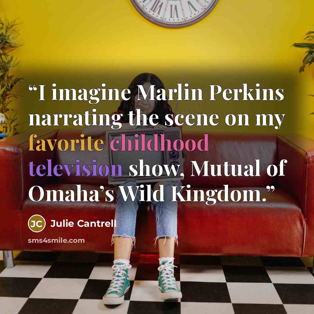 “I imagine Marlin Perkins narrating the scene on my favorite childhood television show, Mutual of Omaha’s Wild Kingdom.” quote by Julie Cantrell