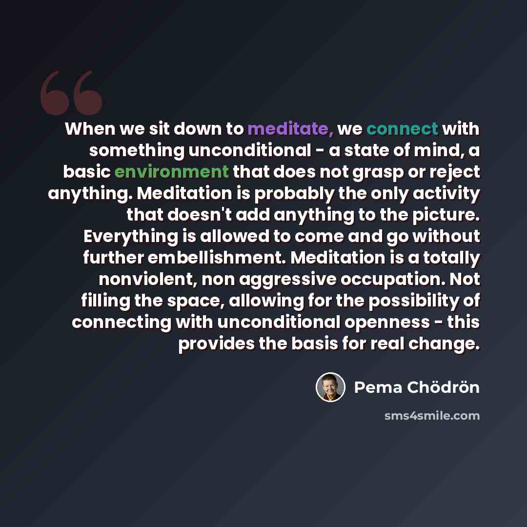 “When we sit down to meditate, we connect with something unconditional - a state of mind, a basic environment that does not grasp or reject anything. Meditation is probably the only activity that doesn't add anything to the picture. Everything is allowed to come and go without further…” quote by Pema Chodron