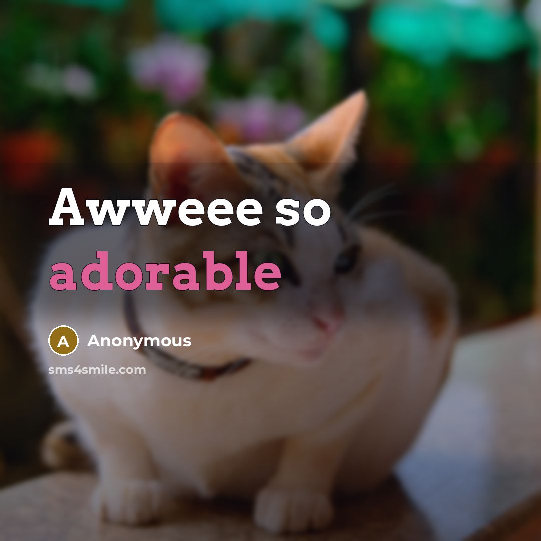 “Awweee so adorable” quote by Anonymous