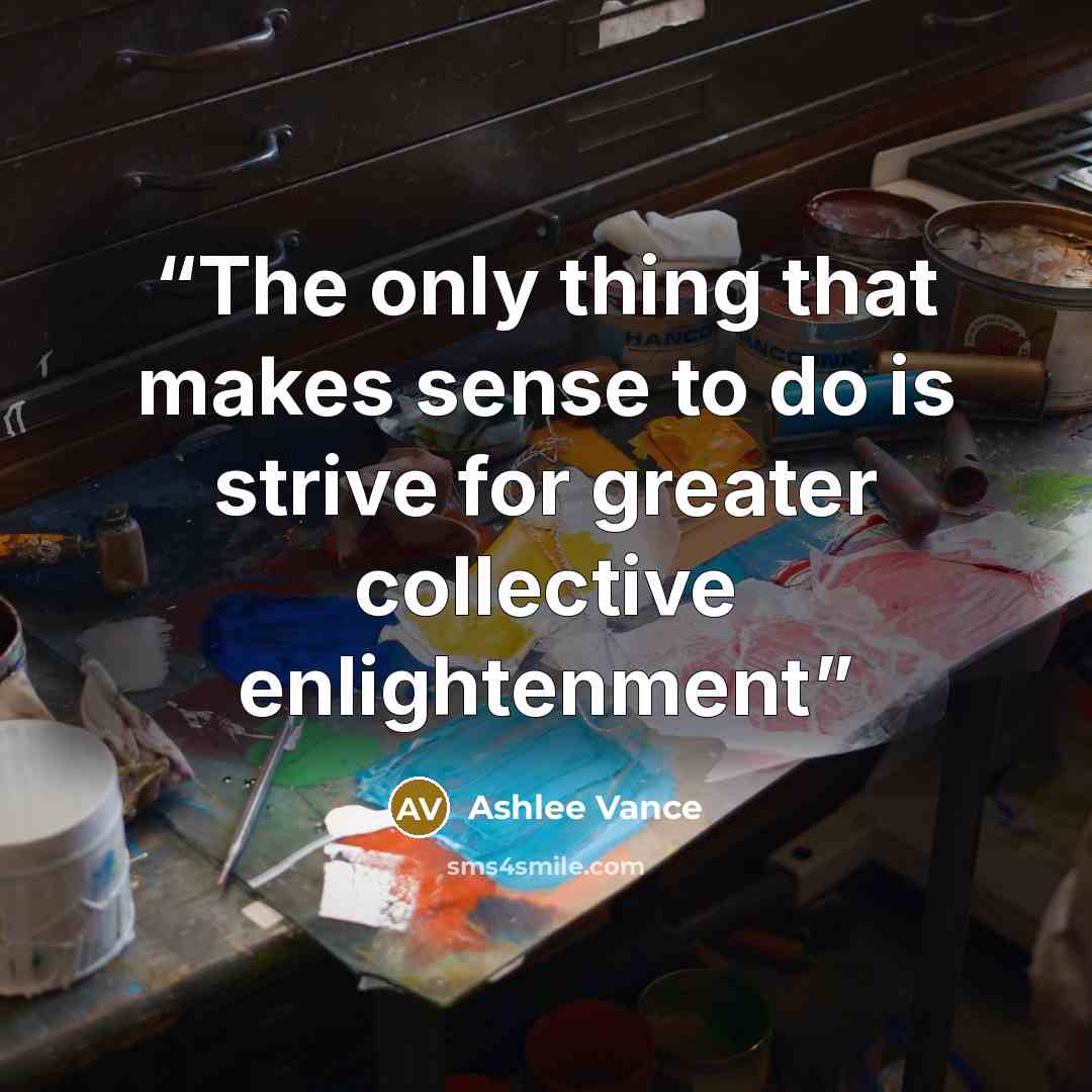“The only thing that makes sense to do is strive for greater collective enlightenment” quote by Ashlee Vance