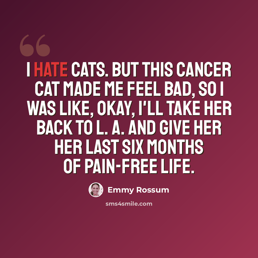 “I hate cats. But this cancer cat made me feel bad, so I was like, Okay, I'll take her back to L. A. and give her her last six months of pain-free life.” quote by Emmy Rossum