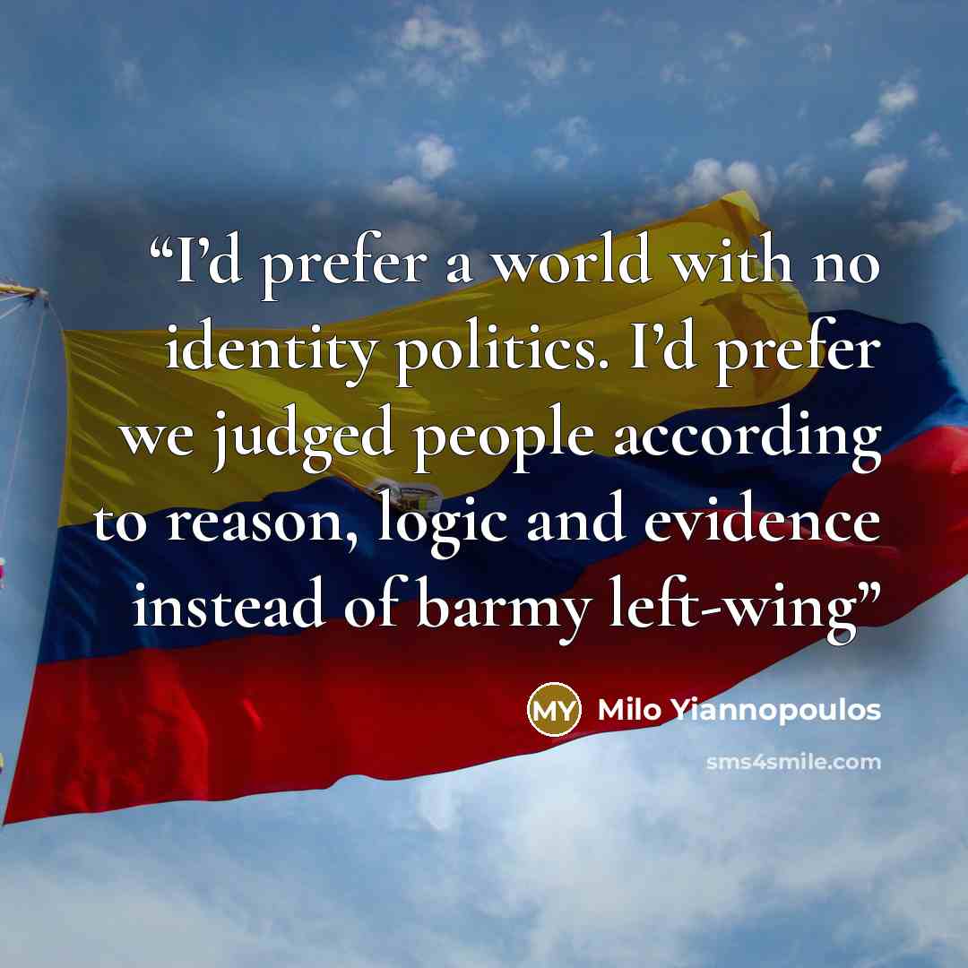 “I’d prefer a world with no identity politics. I’d prefer we judged people according to reason, logic and evidence instead of barmy left-wing” quote by Milo Yiannopoulos