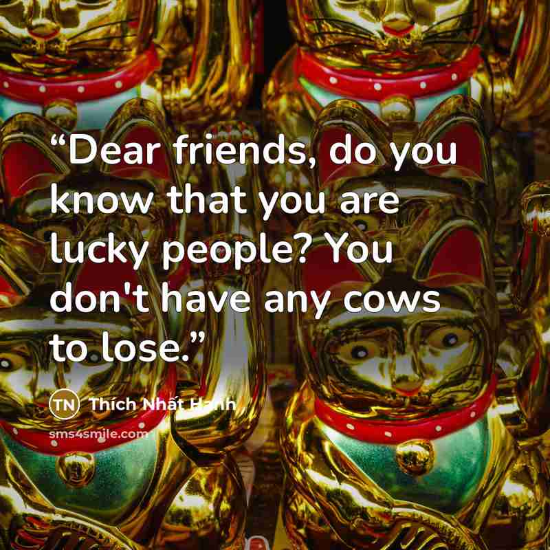 “Dear friends, do you know that you are lucky people? You don't have any cows to lose.” quote by Thich Nhat Hanh