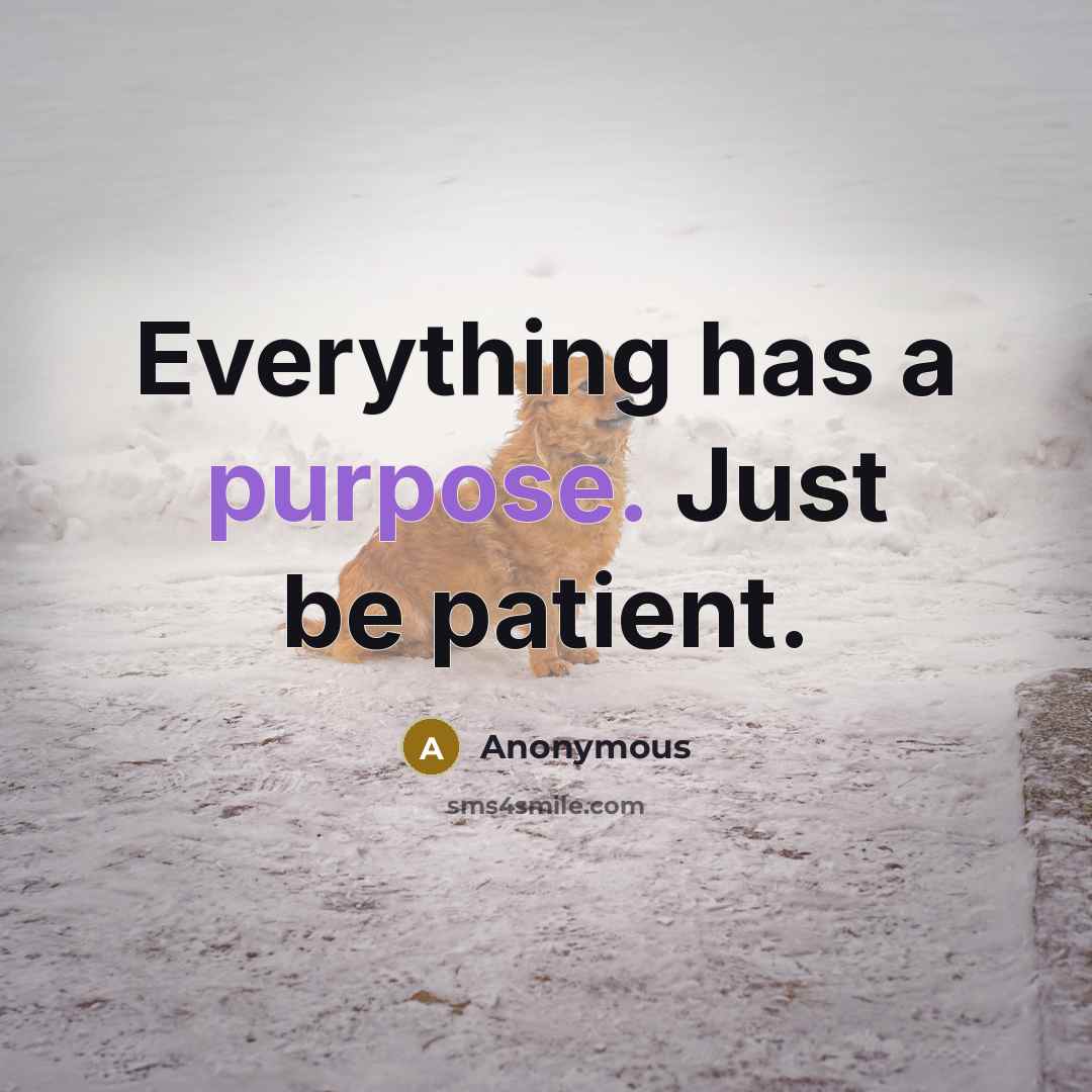 “Everything has a purpose. Just be patient.” quote by Anonymous