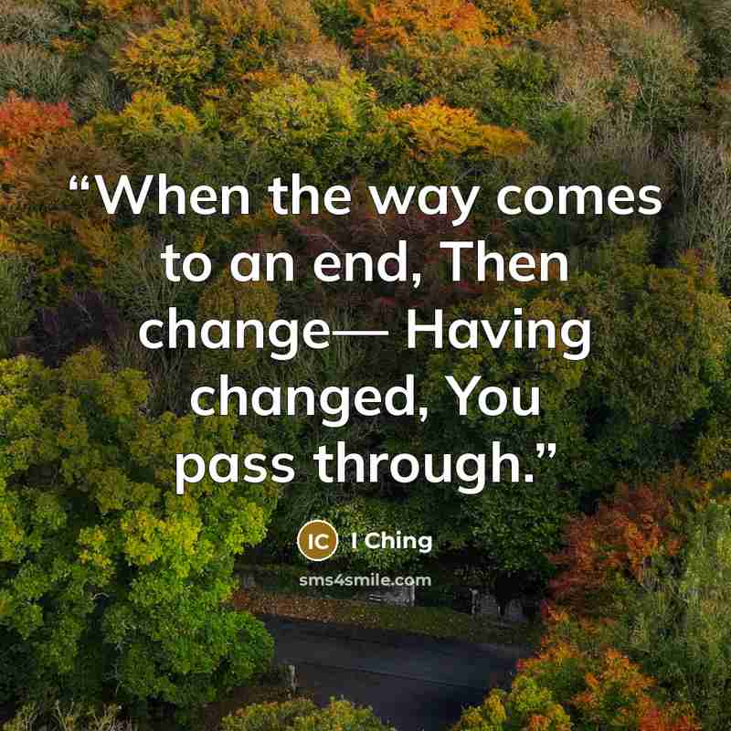 “When the way comes to an end, Then change— Having changed, You pass through.” quote by I Ching