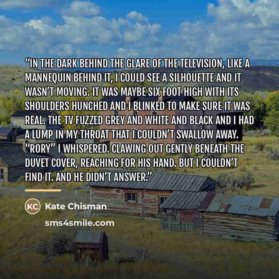 “In the dark behind the glare of the television, like a mannequin behind it, I could see a silhouette and it wasn’t moving. It was maybe six foot high with its shoulders hunched and I blinked to make sure it was real. The TV fuzzed grey and white and black and I had a lump in my throat that I…” quote by Kate Chisman