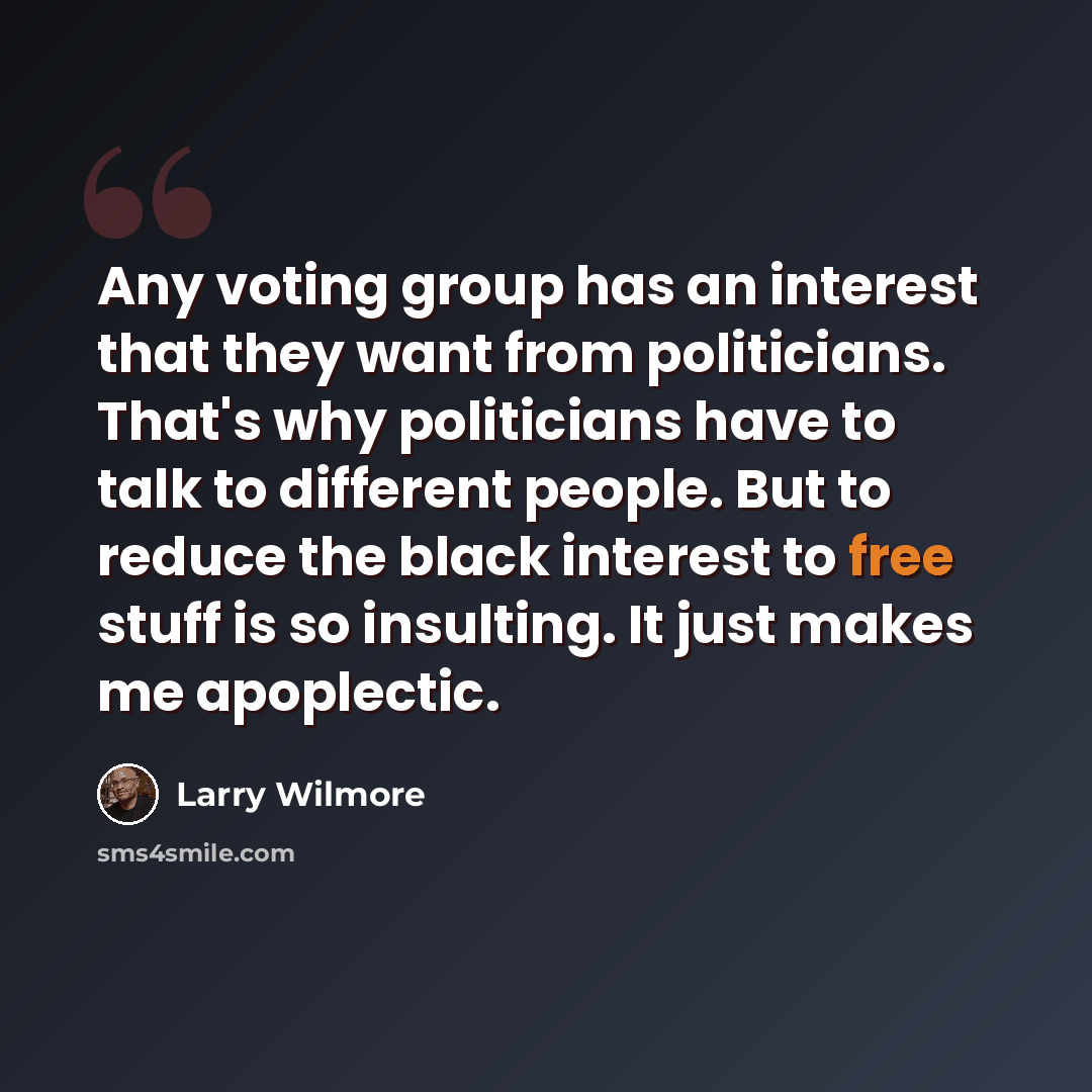 “Any voting group has an interest that they want from politicians. That's why politicians have to talk to different people. But to reduce the black interest to free stuff is so insulting. It just makes me apoplectic.” quote by Larry Wilmore