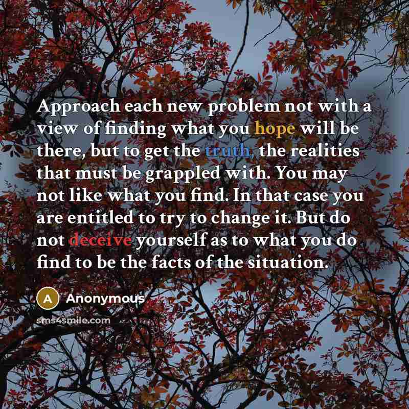 “Approach each new problem not with a view of finding what you hope will be there, but to get the truth, the realities that must be grappled with. You may not like what you find. In that case you are entitled to try to change it. But do not deceive yourself as to what you do find to be the facts of…” quote by Anonymous