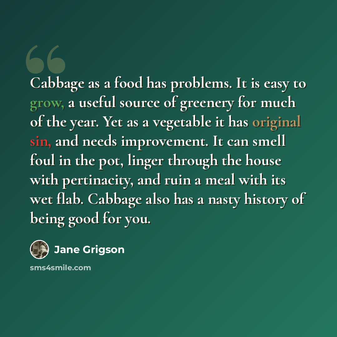 “Cabbage as a food has problems. It is easy to grow, a useful source of greenery for much of the year. Yet as a vegetable it has original sin, and needs improvement. It can smell foul in the pot, linger through the house with pertinacity, and ruin a meal with its wet flab. Cabbage also has a nasty…” quote by Jane Grigson