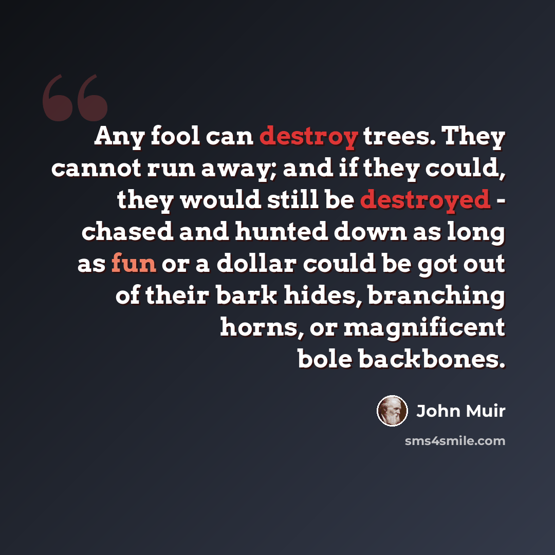 “Any fool can destroy trees. They cannot run away; and if they could, they would still be destroyed - chased and hunted down as long as fun or a dollar could be got out of their bark hides, branching horns, or magnificent bole backbones.” quote by John Muir