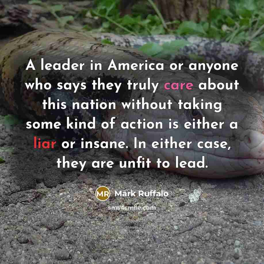 “A leader in America or anyone who says they truly care about this nation without taking some kind of action is either a liar or insane. In either case, they are unfit to lead.” quote by Mark Ruffalo