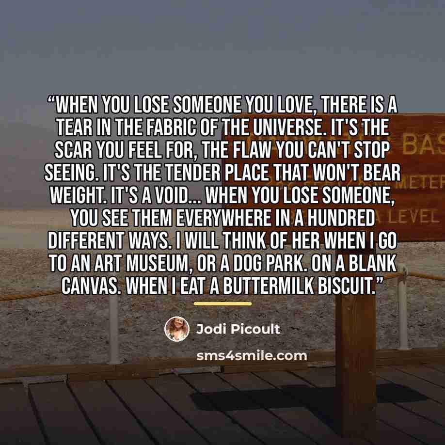 “When you lose someone you love, there is a tear in the fabric of the universe. It's the scar you feel for, the flaw you can't stop seeing. It's the tender place that won't bear weight. It's a void... When you lose someone, you see them everywhere in a hundred different ways. I will think of her…” quote by Jodi Picoult