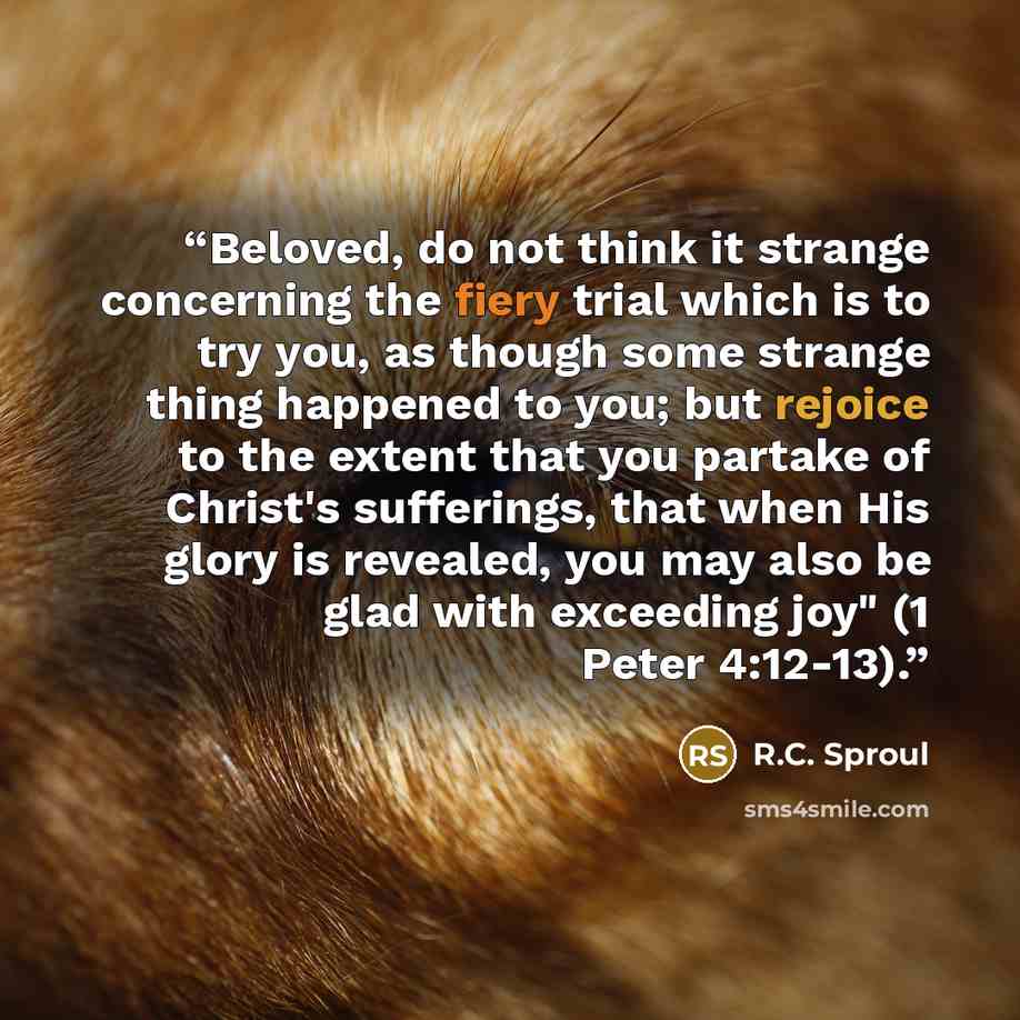 “Beloved, do not think it strange concerning the fiery trial which is to try you, as though some strange thing happened to you; but rejoice to the extent that you partake of Christ's sufferings, that when His glory is revealed, you may also be glad with exceeding joy" (1 Peter 4:12-13).” quote by R.C. Sproul