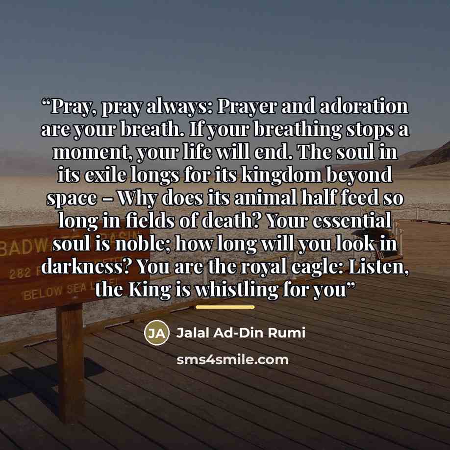 “Pray, pray always: Prayer and adoration are your breath. If your breathing stops a moment, your life will end. The soul in its exile longs for its kingdom beyond space – Why does its animal half feed so long in fields of death? Your essential soul is noble; how long will you look in darkness? You…” quote by Jalāl ad-Dīn Rūmī