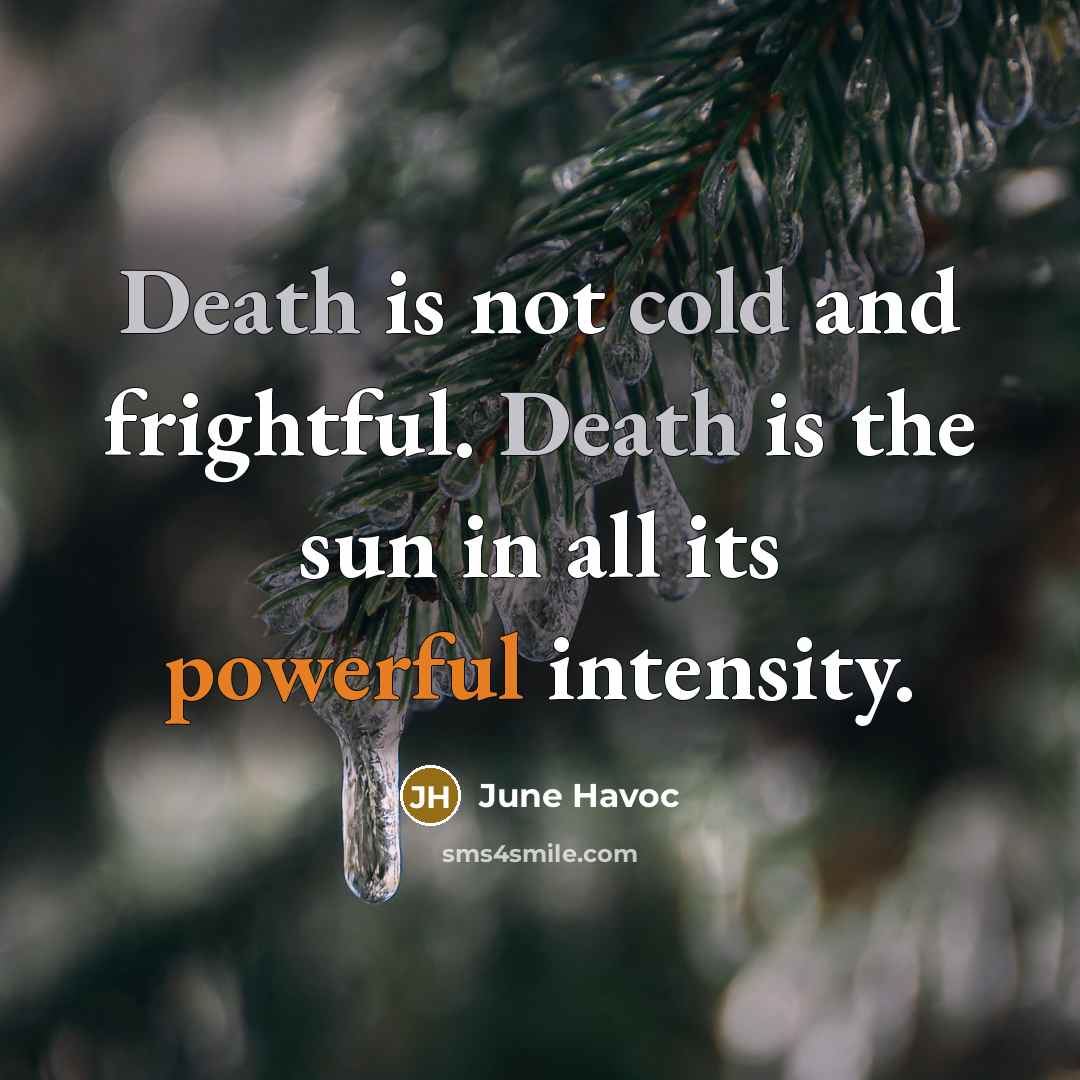 “Death is not cold and frightful. Death is the sun in all its powerful intensity.” quote by June Havoc