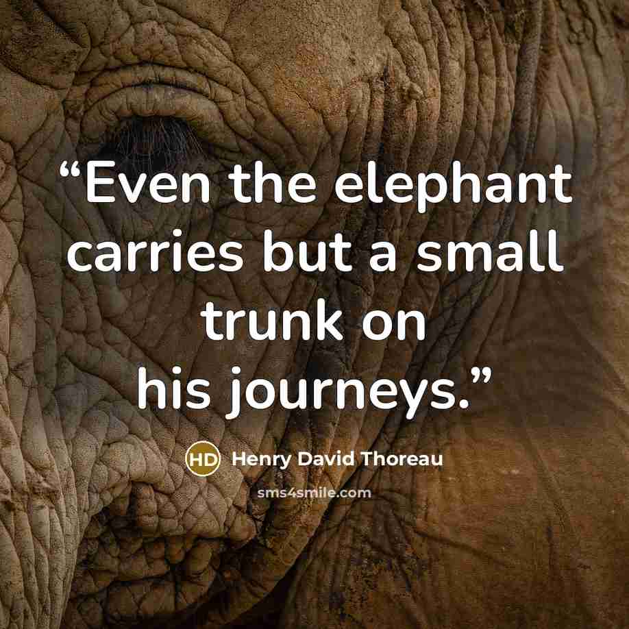 “Even the elephant carries but a small trunk on his journeys.” quote by Henry David Thoreau