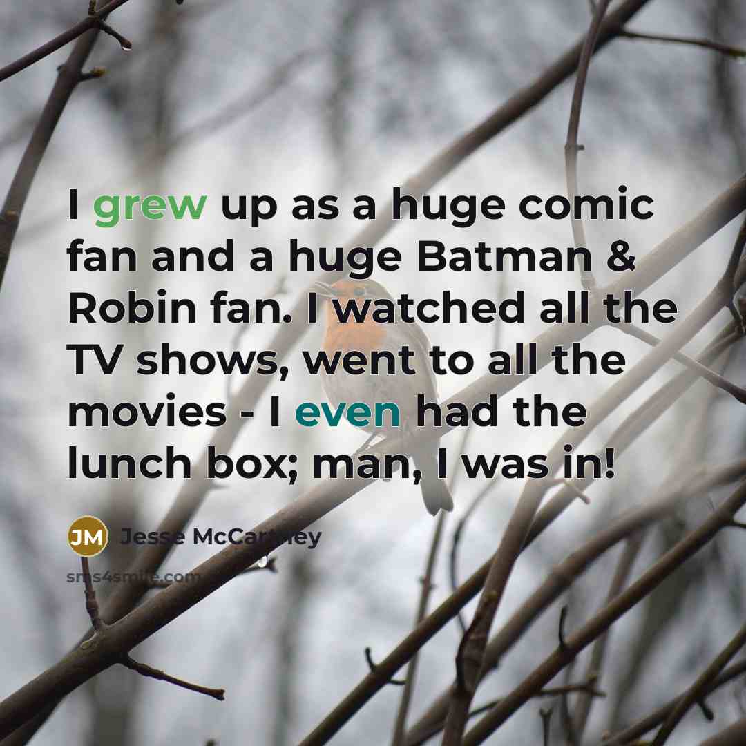 “I grew up as a huge comic fan and a huge Batman & Robin fan. I watched all the TV shows, went to all the movies - I even had the lunch box; man, I was in!” quote by Jesse McCartney