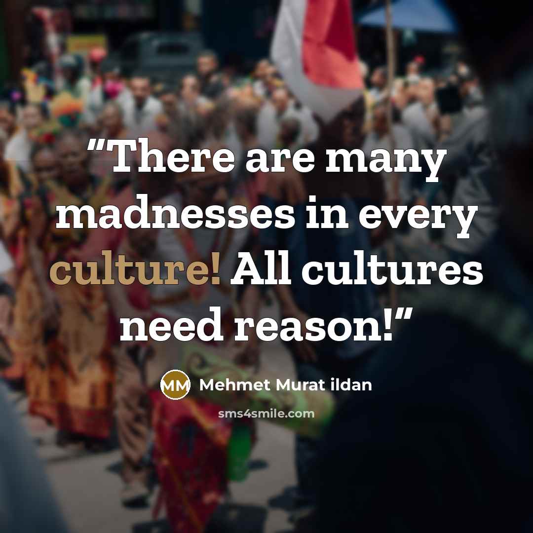 “There are many madnesses in every culture! All cultures need reason!” quote by Mehmet Murat ildan