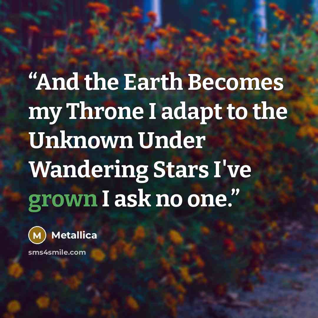 “And the Earth Becomes my Throne I adapt to the Unknown Under Wandering Stars I've grown I ask no one.” quote by Metallica