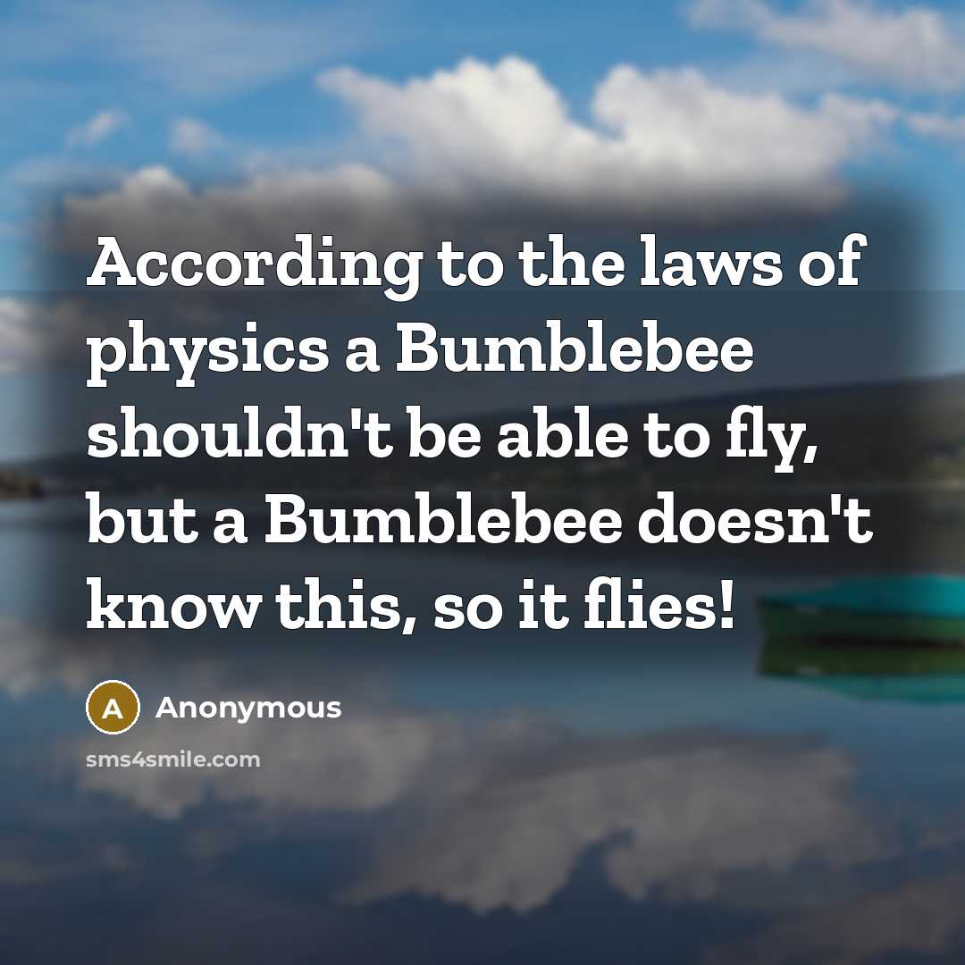 “According to the laws of physics a Bumblebee shouldn't be able to fly, but a Bumblebee doesn't know this, so it flies!” quote by Anonymous