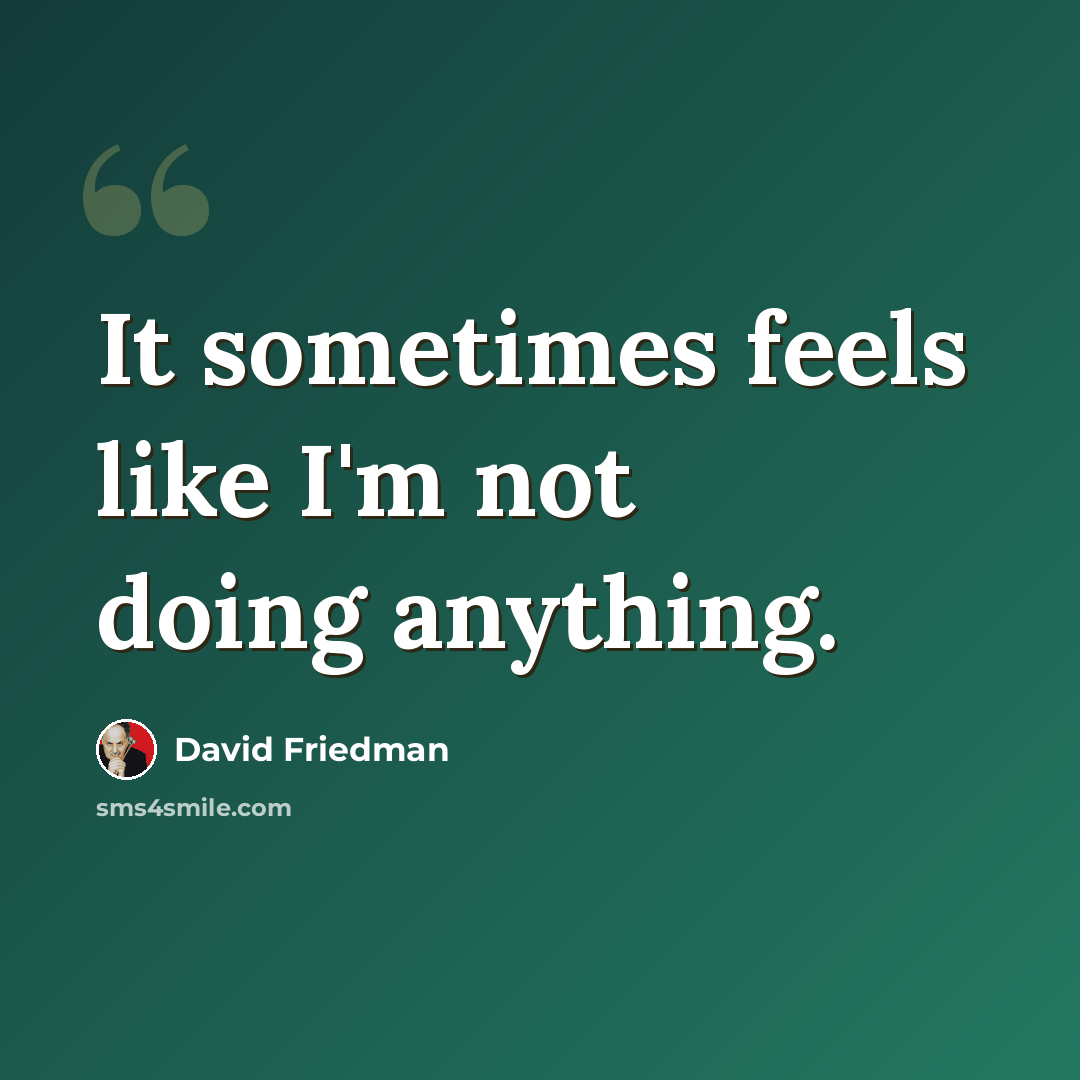 “It sometimes feels like I'm not doing anything.” quote by David Friedman