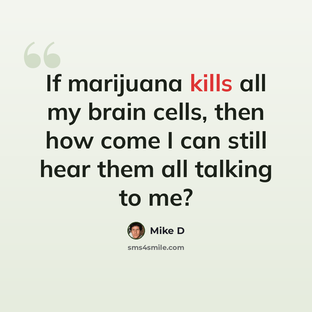 “If marijuana kills all my brain cells, then how come I can still hear them all talking to me?” quote by Mike D
