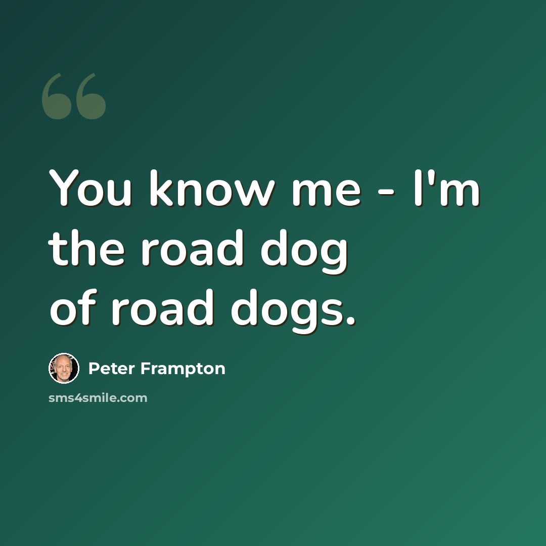 “You know me - I'm the road dog of road dogs.” quote by Peter Frampton