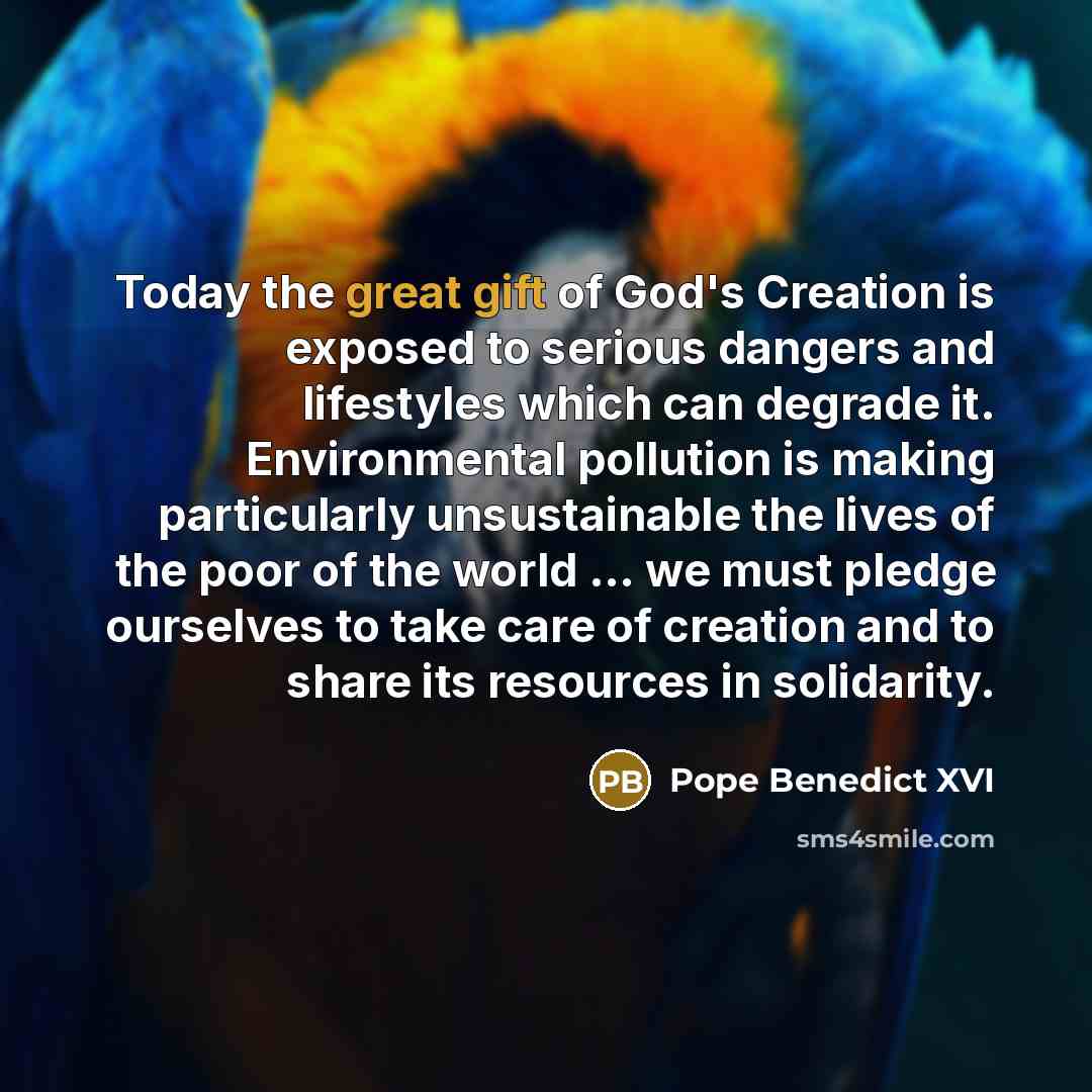 “Today the great gift of God's Creation is exposed to serious dangers and lifestyles which can degrade it. Environmental pollution is making particularly unsustainable the lives of the poor of the world ... we must pledge ourselves to take care of creation and to share its resources in solidarity.” quote by Pope Benedict XVI