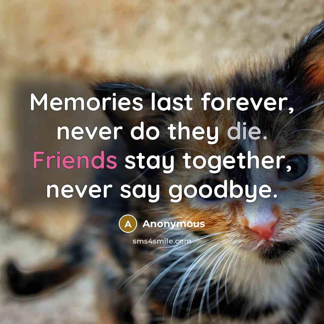 “Memories last forever, never do they die. Friends stay together, never say goodbye.” quote by Anonymous