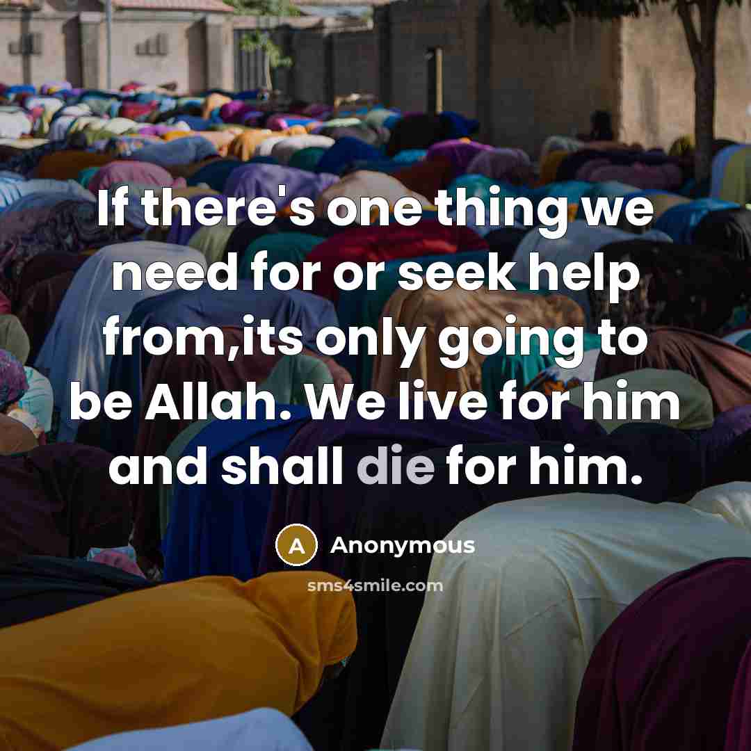 “If there's one thing we need for or seek help from,its only going to be Allah. We live for him and shall die for him.” quote by Anonymous