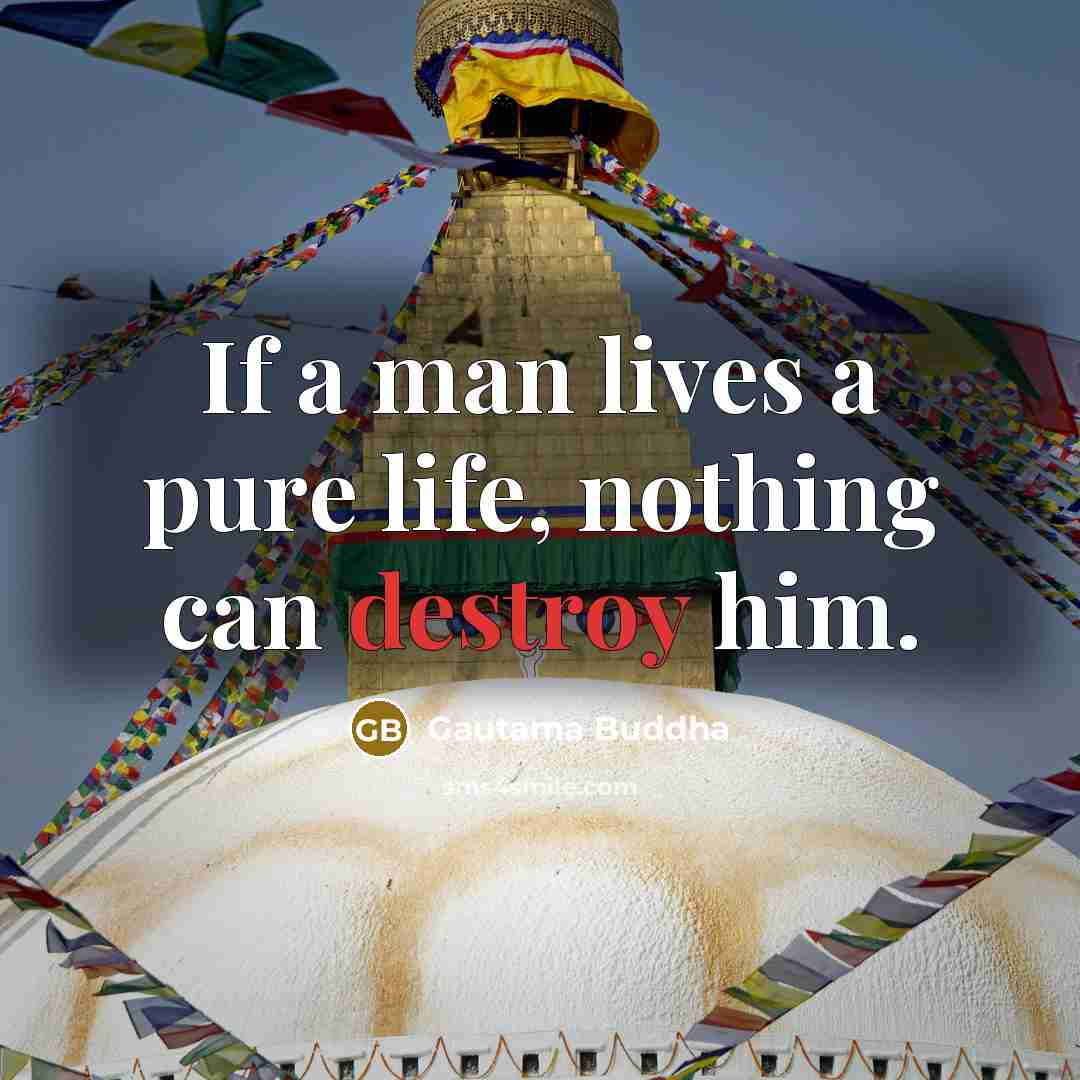“If a man lives a pure life, nothing can destroy him.” quote by Gautama Buddha