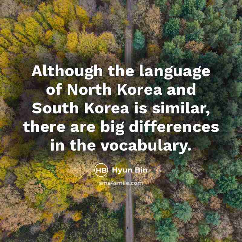 “Although the language of North Korea and South Korea is similar, there are big differences in the vocabulary.” quote by Hyun Bin