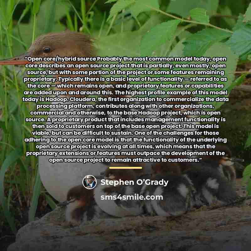 “Open core/hybrid source Probably the most common model today, open core describes an open source project that is partially, even mostly, open source, but with some portion of the project or some features remaining proprietary. Typically there is a basic level of functionality — referred to as the…” quote by Stephen O’Grady