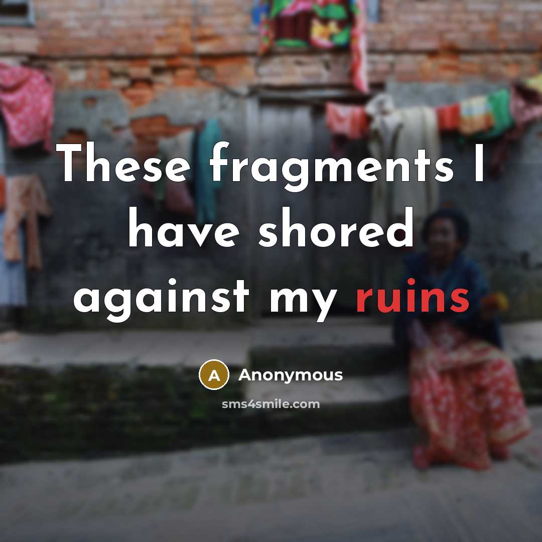 “These fragments I have shored against my ruins” quote by Anonymous