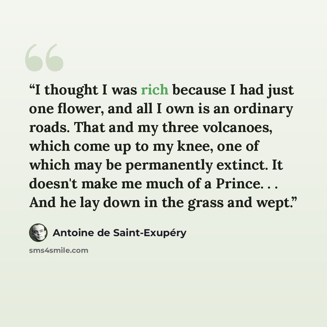 “I thought I was rich because I had just one flower, and all I own is an ordinary roads. That and my three volcanoes, which come up to my knee, one of which may be permanently extinct. It doesn't make me much of a Prince. . . And he lay down in the grass and wept.” quote by Antoine de Saint-Exupéry