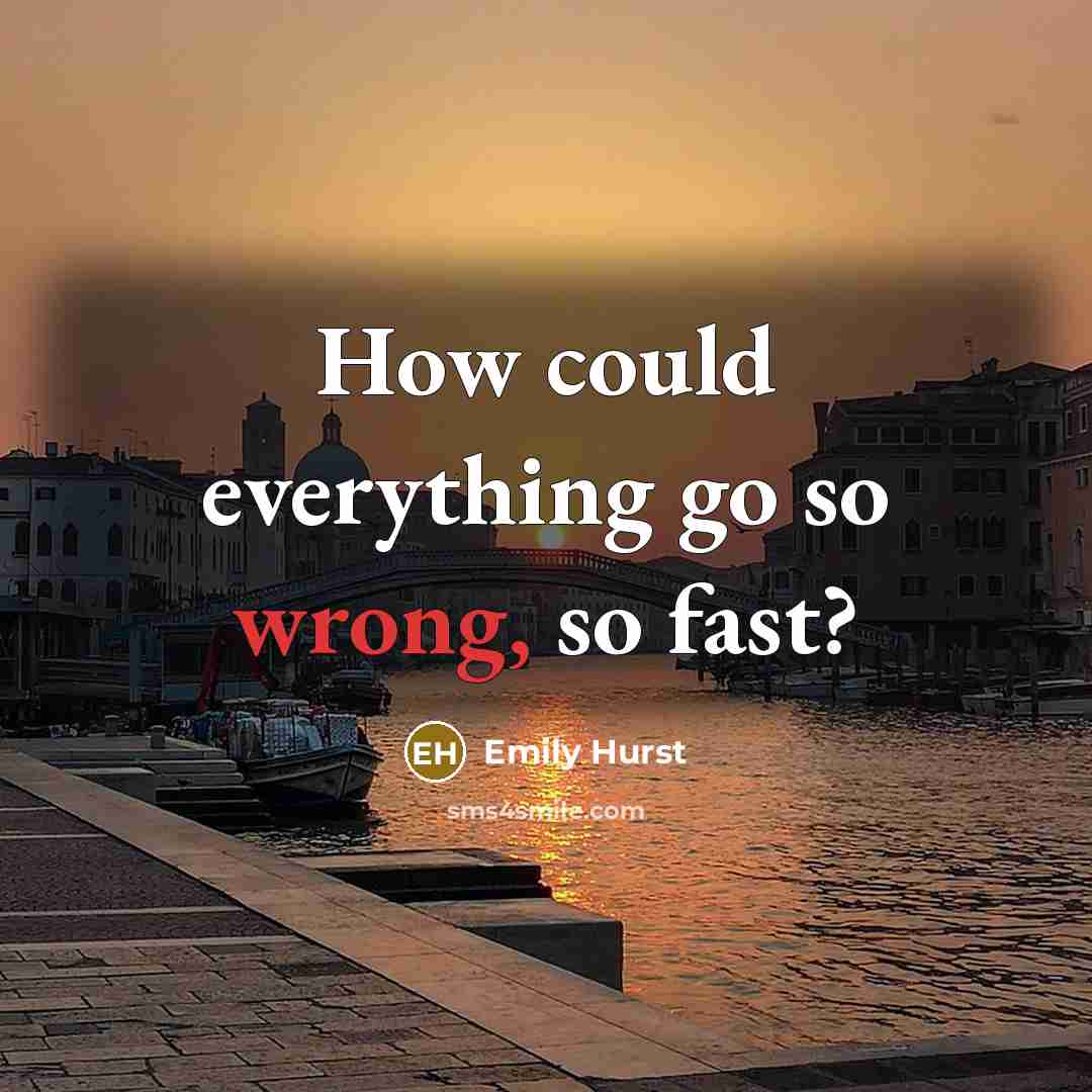 “How could everything go so wrong, so fast?” quote by Emily Hurst