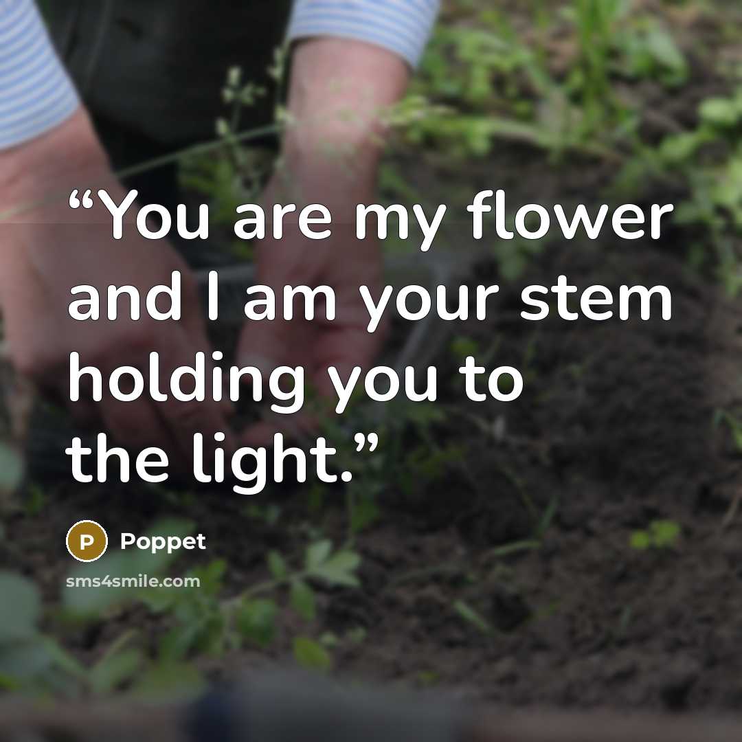 “You are my flower and I am your stem holding you to the light.” quote by Poppet