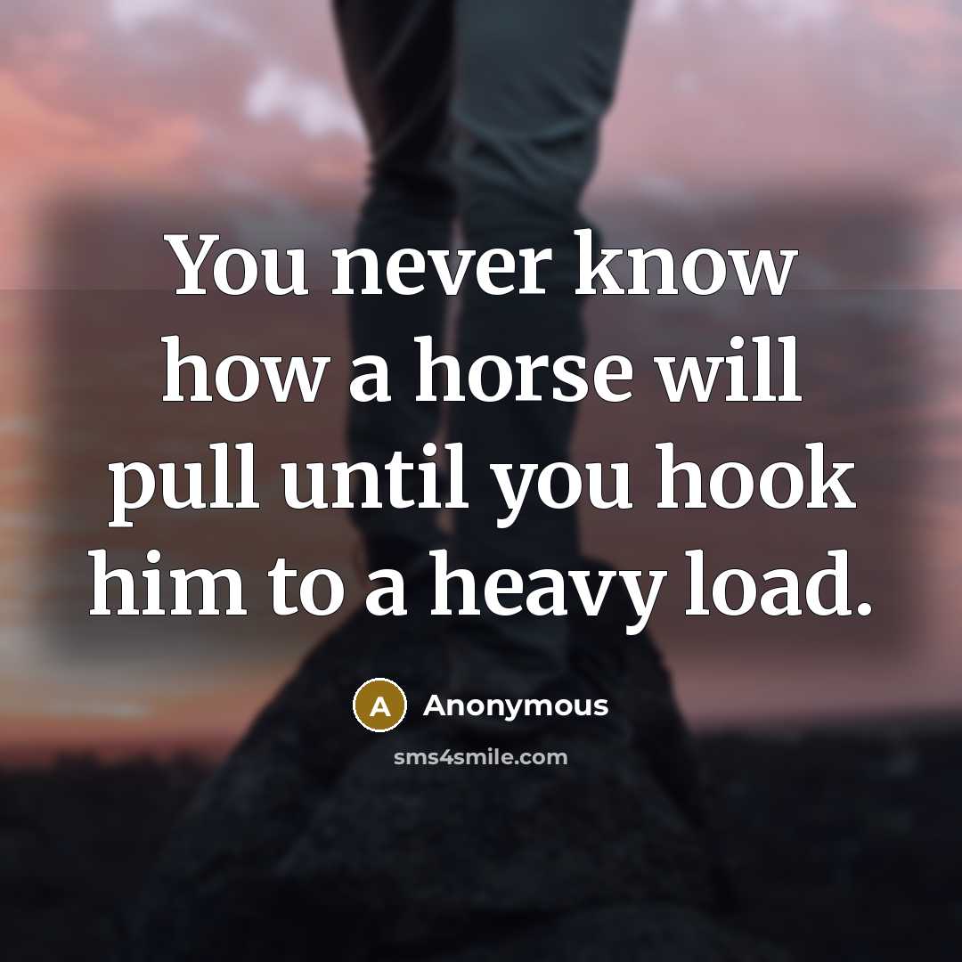 “You never know how a horse will pull until you hook him to a heavy load.” quote by Anonymous