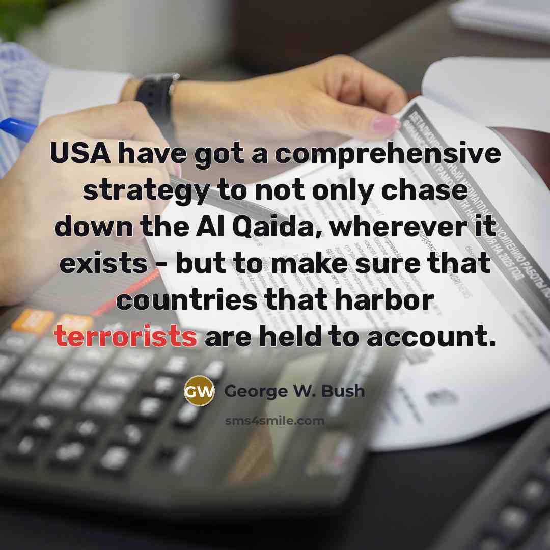 “USA have got a comprehensive strategy to not only chase down the Al Qaida, wherever it exists - but to make sure that countries that harbor terrorists are held to account.” quote by George W. Bush