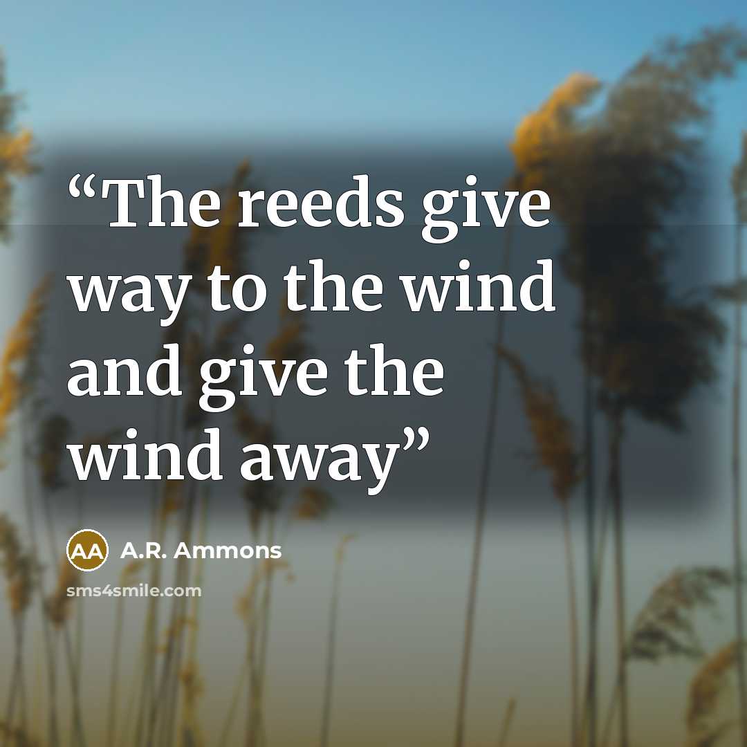 “The reeds give way to the wind and give the wind away” quote by A.R. Ammons
