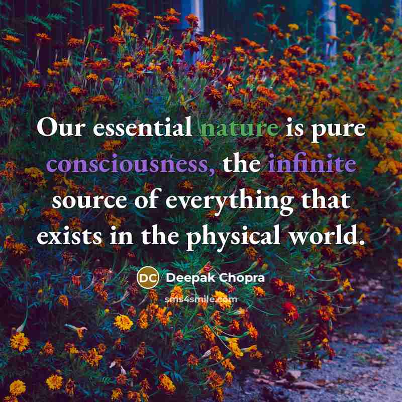 “Our essential nature is pure consciousness, the infinite source of everything that exists in the physical world.” quote by Deepak Chopra