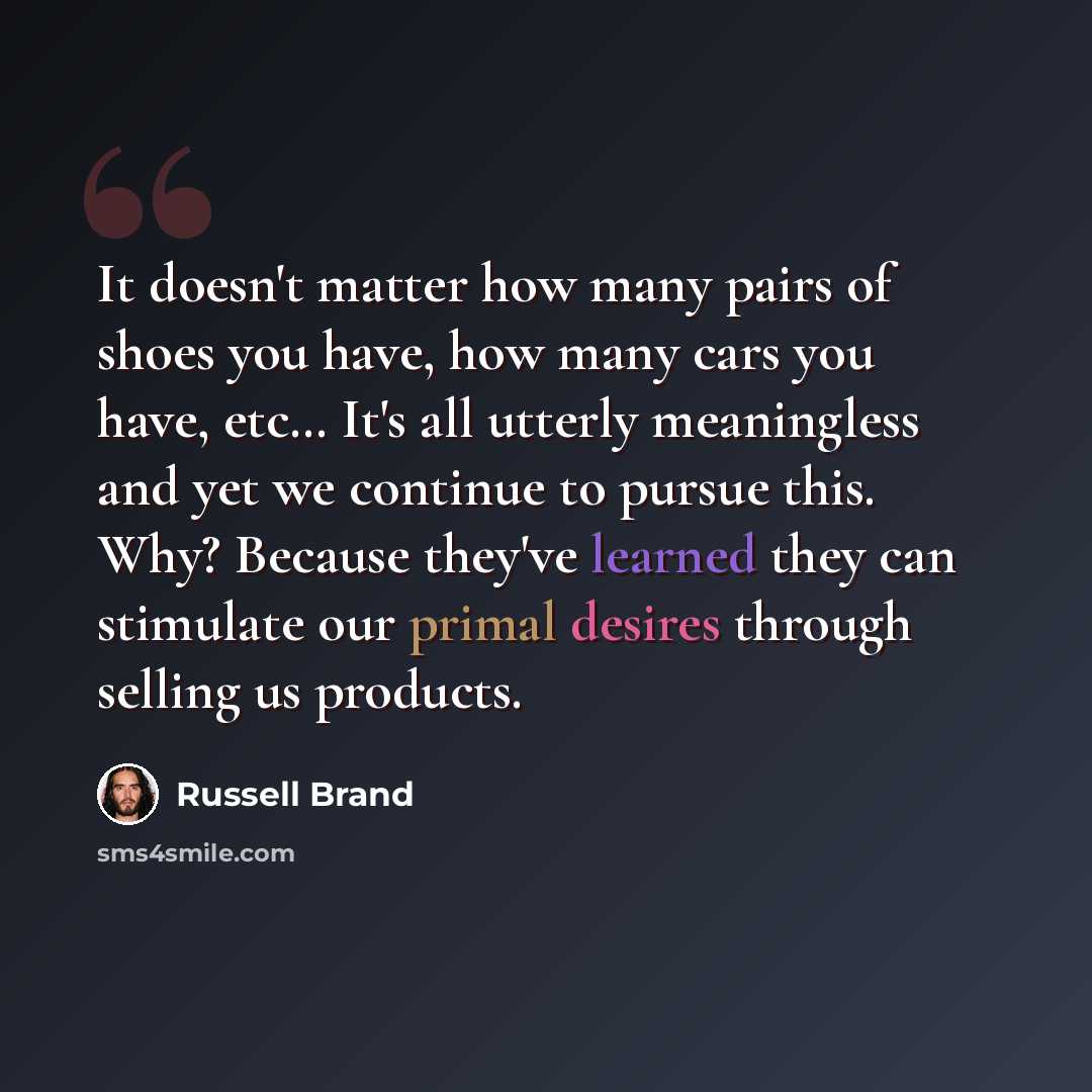“It doesn't matter how many pairs of shoes you have, how many cars you have, etc… It's all utterly meaningless and yet we continue to pursue this. Why? Because they've learned they can stimulate our primal desires through selling us products.” quote by Russell Brand