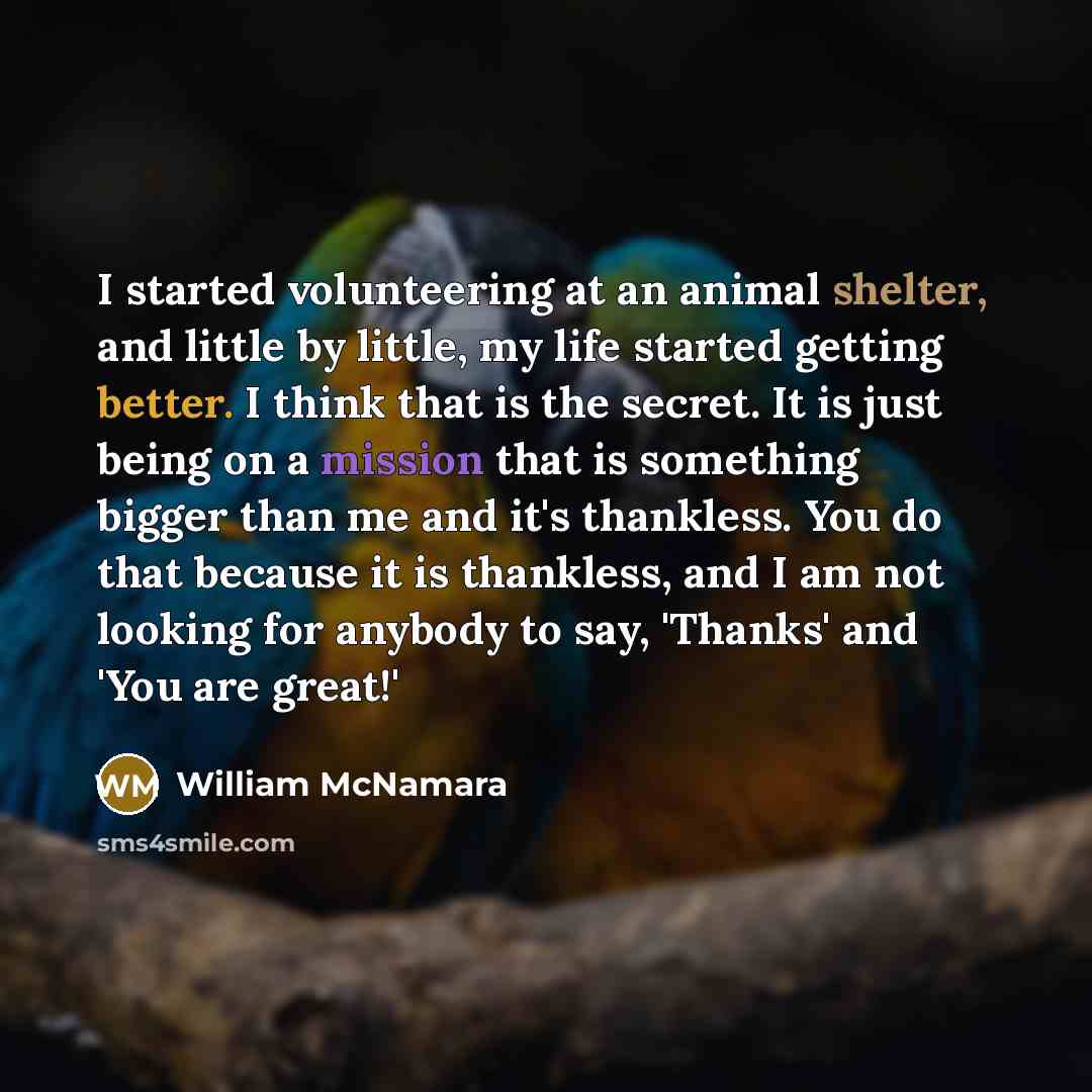 “I started volunteering at an animal shelter, and little by little, my life started getting better. I think that is the secret. It is just being on a mission that is something bigger than me and it's thankless. You do that because it is thankless, and I am not looking for anybody to say, 'Thanks'…” quote by William McNamara