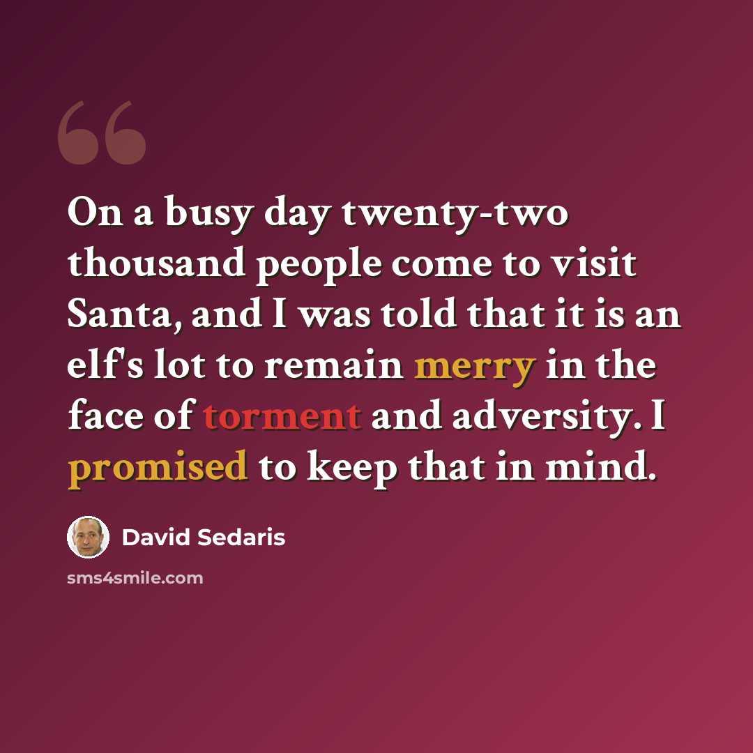 “On a busy day twenty-two thousand people come to visit Santa, and I was told that it is an elf's lot to remain merry in the face of torment and adversity. I promised to keep that in mind.” quote by David Sedaris